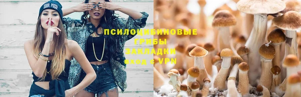 соль ск Новозыбков
