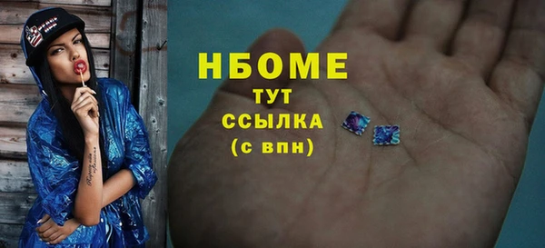 соль ск Новозыбков