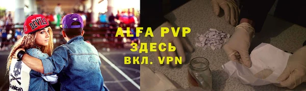 соль ск Новозыбков