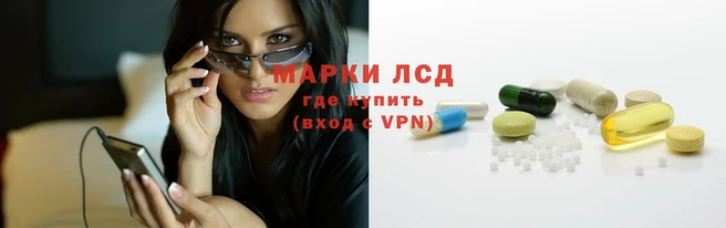 прущие крисы Новокубанск