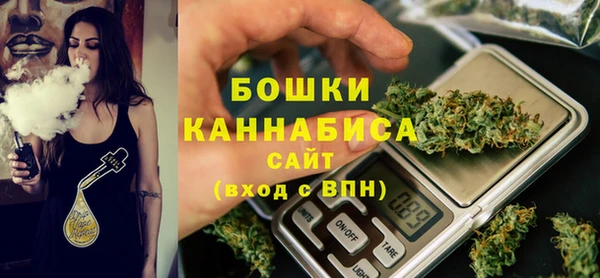 соль ск Новозыбков