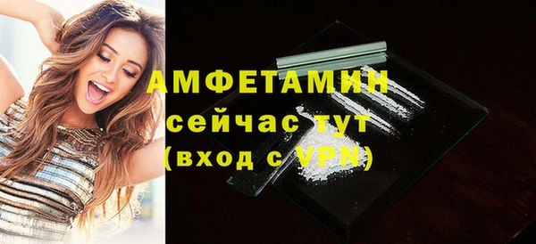 соль ск Новозыбков