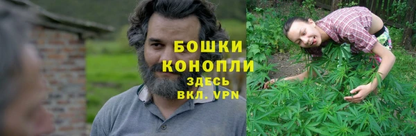 каннабис Новодвинск