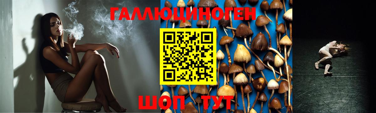 Галлюциногенные грибы Cubensis  Вход с VPN  Ревда 
