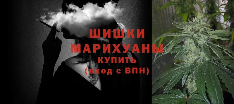 Бошки марихуана гибрид  blacksprut как войти  Ревда  купить закладку 